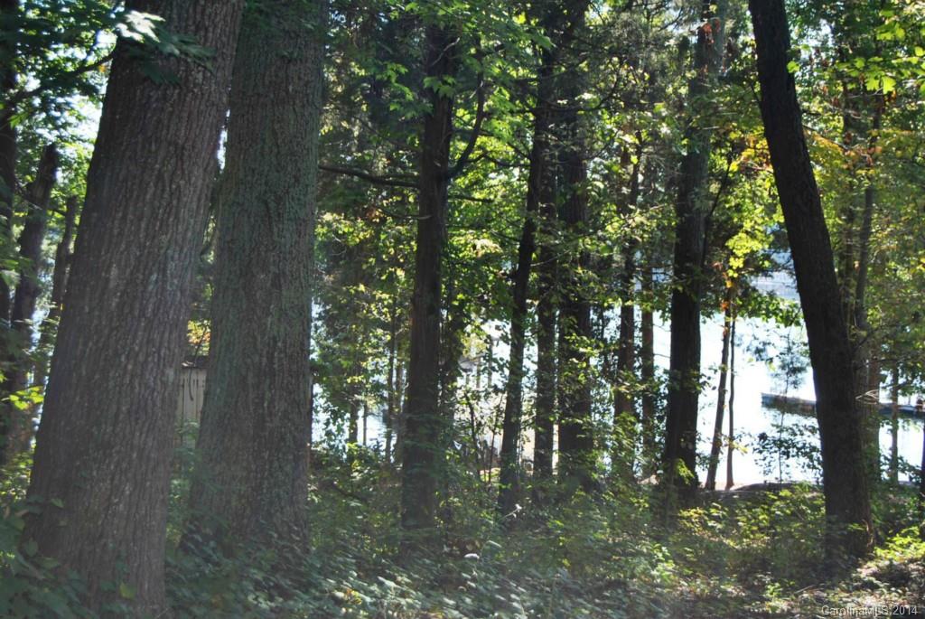 Morrison Point - Land