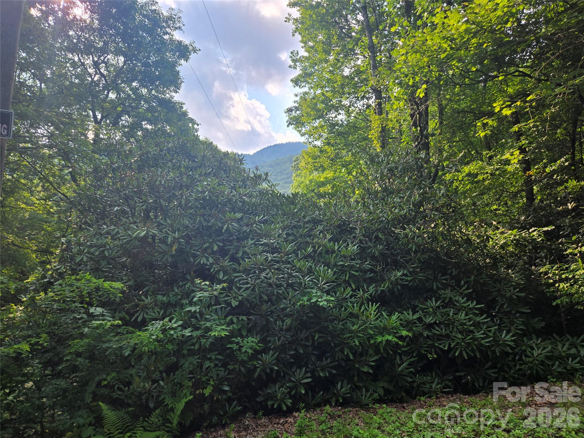 000 Greenspire Drive, Sylva, NC, 28779