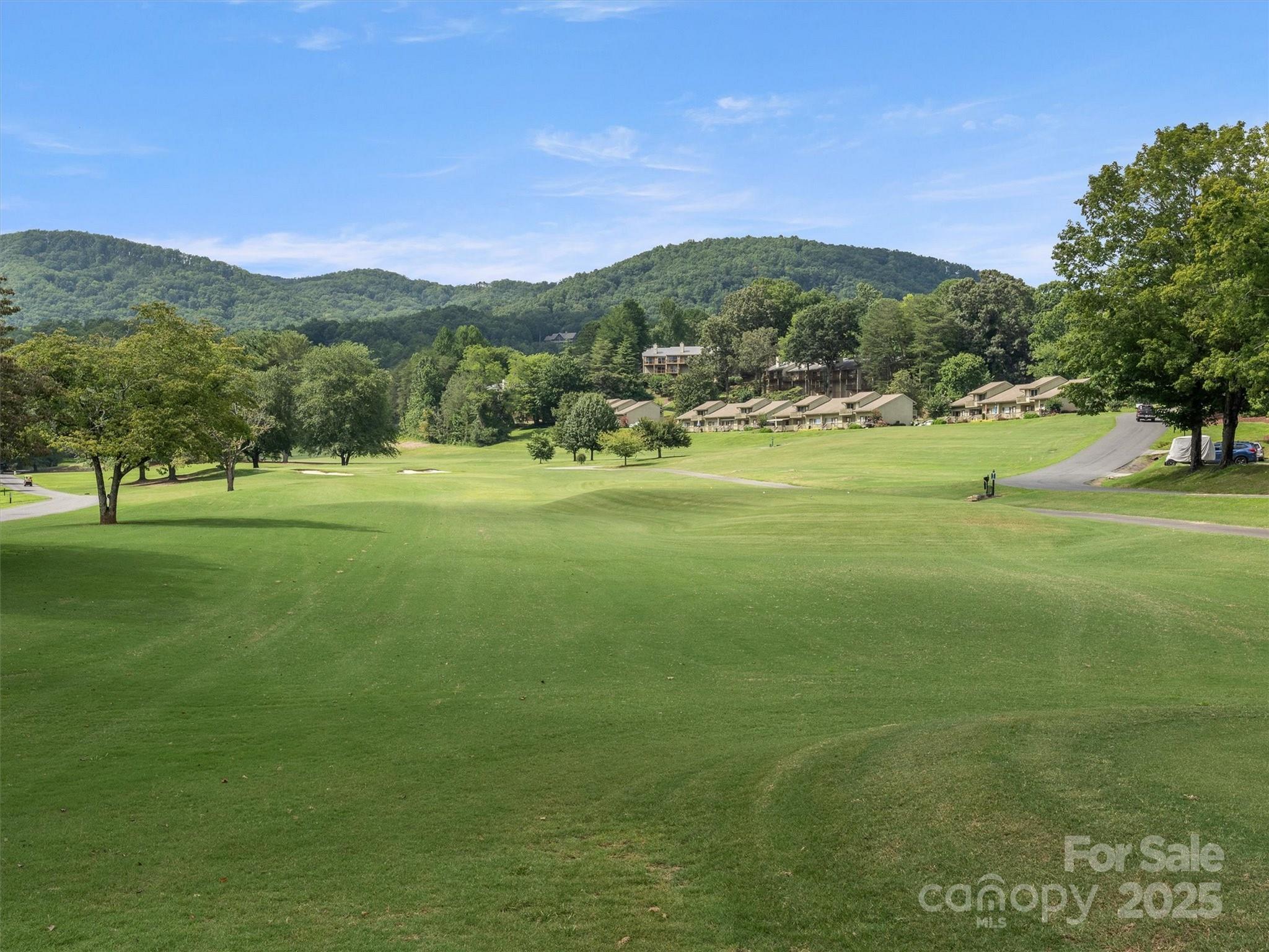 Rumbling Bald on Lake Lure - Residential