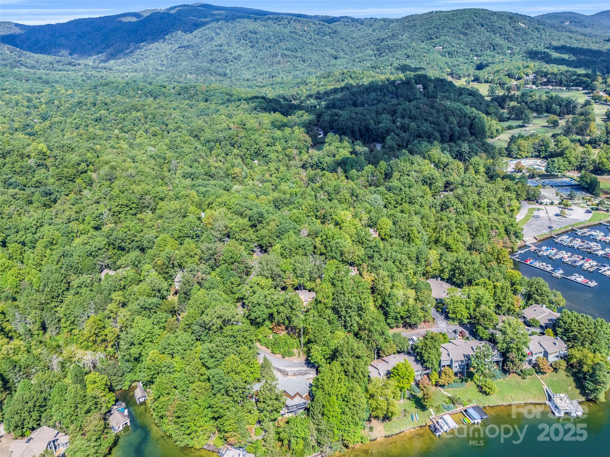 Rumbling Bald on Lake Lure - Residential