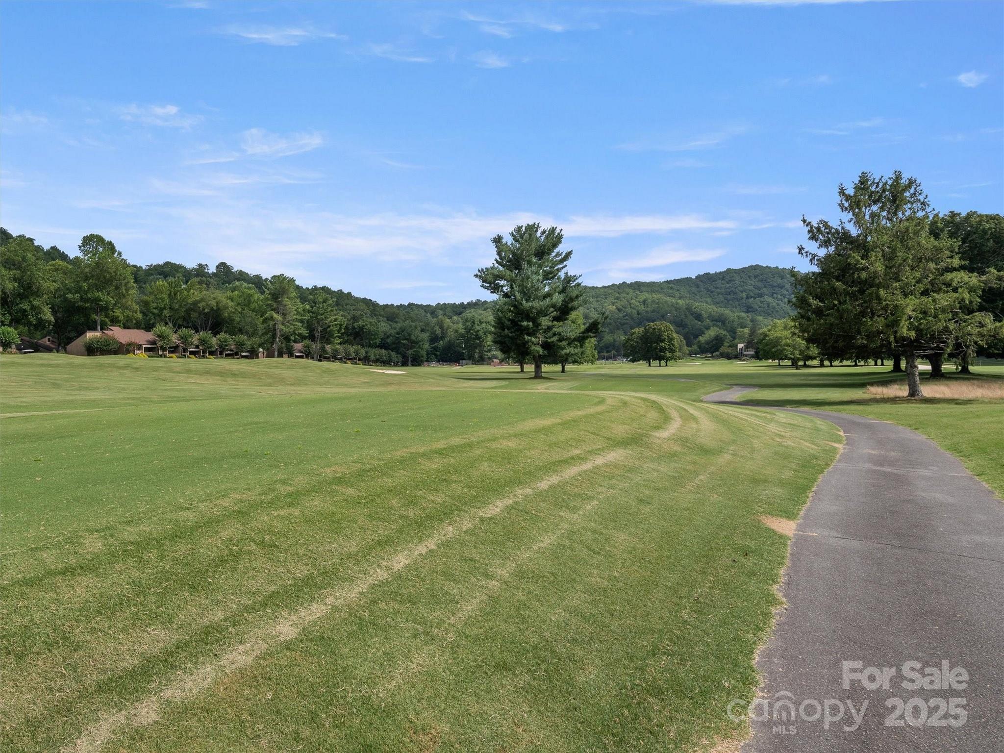 Rumbling Bald on Lake Lure - Residential