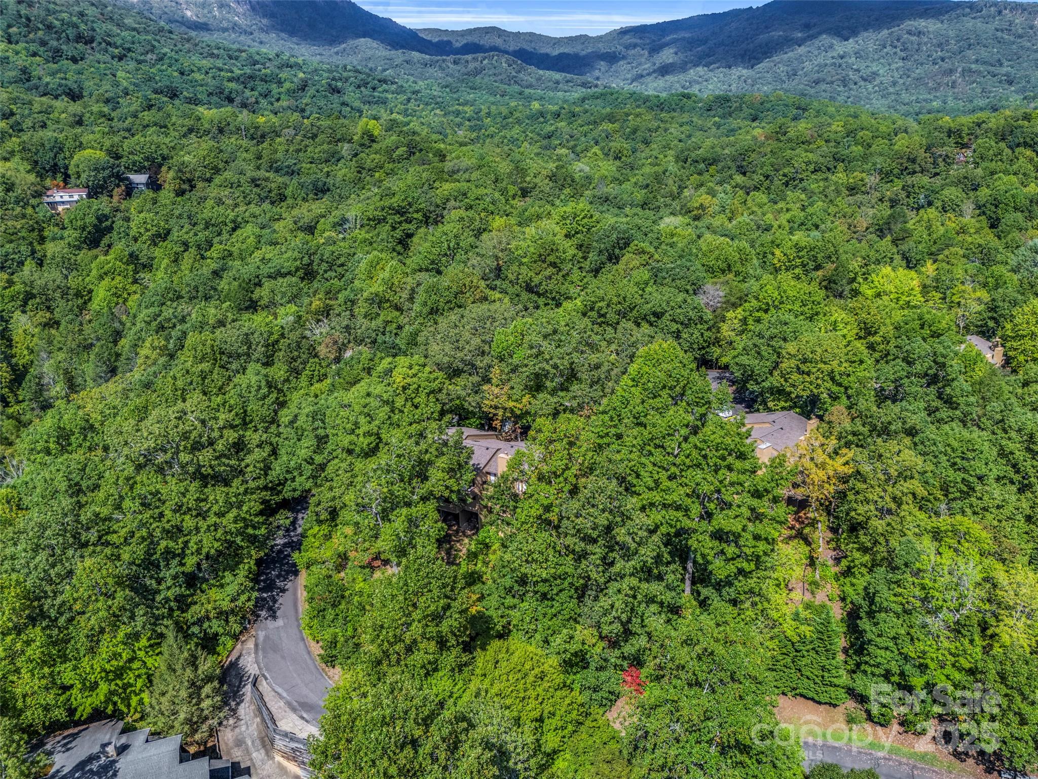 Rumbling Bald on Lake Lure - Residential
