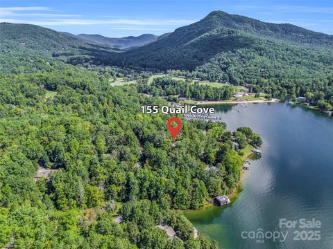 155 Quail Cove Road 1602 Lake Lure NC 28746
