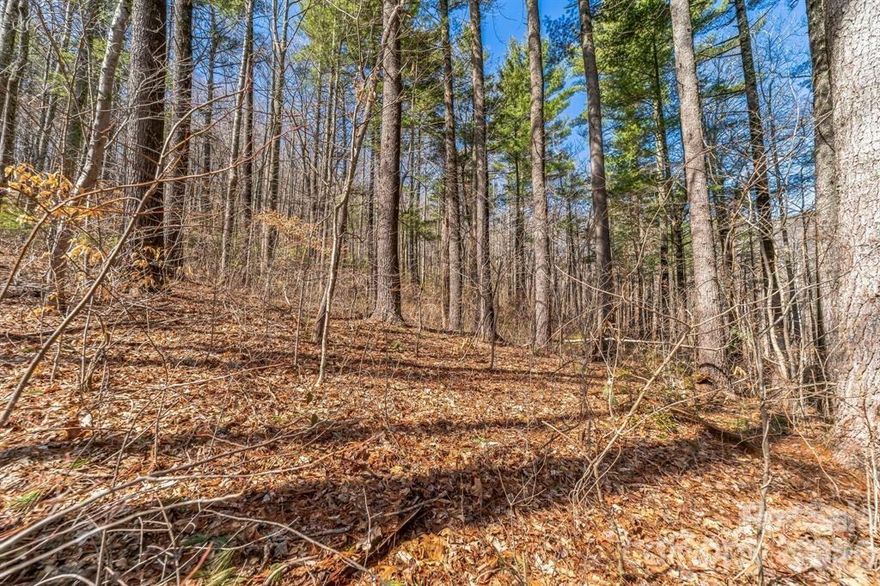 If you’re looking for the ideal canvas for your mountain dream home, this 1.25 acre lot offers both privacy and convenience with easy access directly from Mill Rd. Just 15 minutes from downtown Asheville, you’ll enjoy the tranquility of a private, wooded setting while staying close to the city’s dining, shopping, and cultural attractions. Towering hardwoods create a natural backdrop for your future home in one of Asheville's most sought-after areas.  With no HOA restrictions, you have the freedom to design a home that reflects your vision—whether that’s a cozy mountain retreat or a modern hillside escape. This property combines the best of both worlds: a secluded, scenic hideaway with easy access to everything Asheville has to offer.