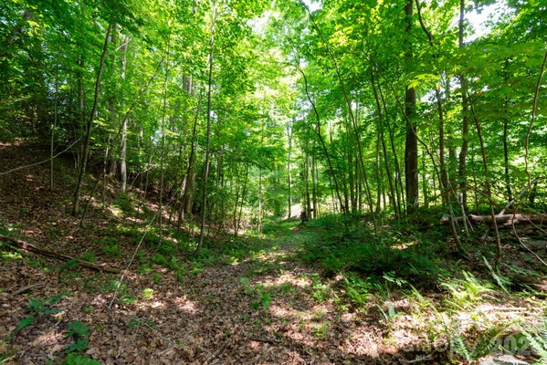 ADDRESS PRIVATE, MARSHALL, NC 28753 - Image b0a4e71ae8722ce31c7605bed93d4f8b/2167082878