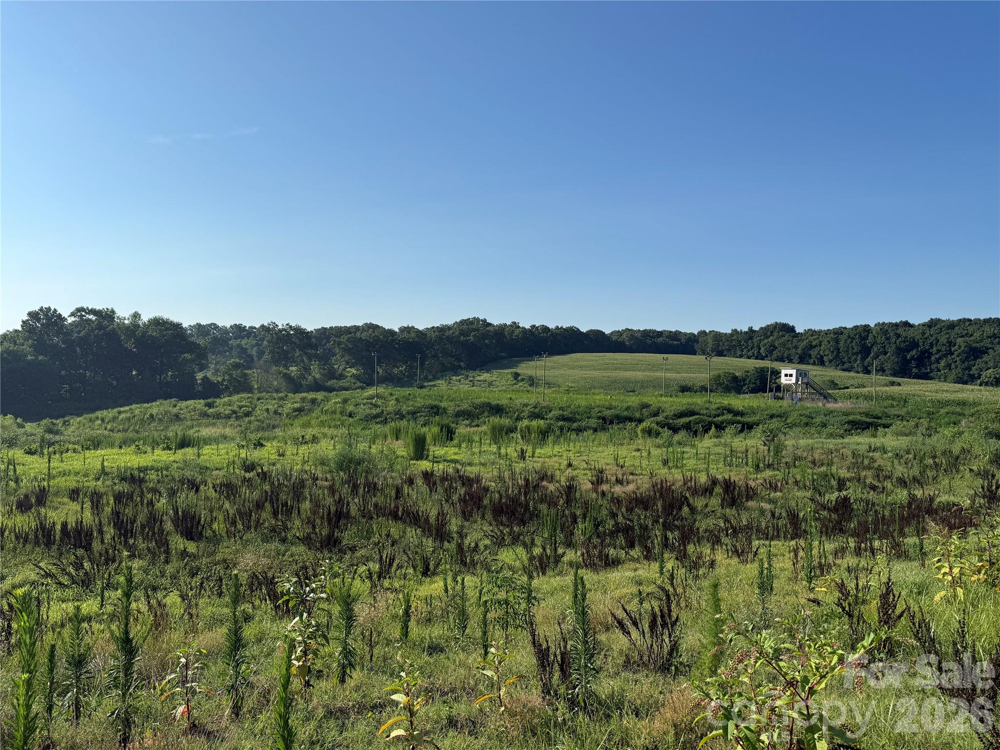 1611 Olive Branch Road