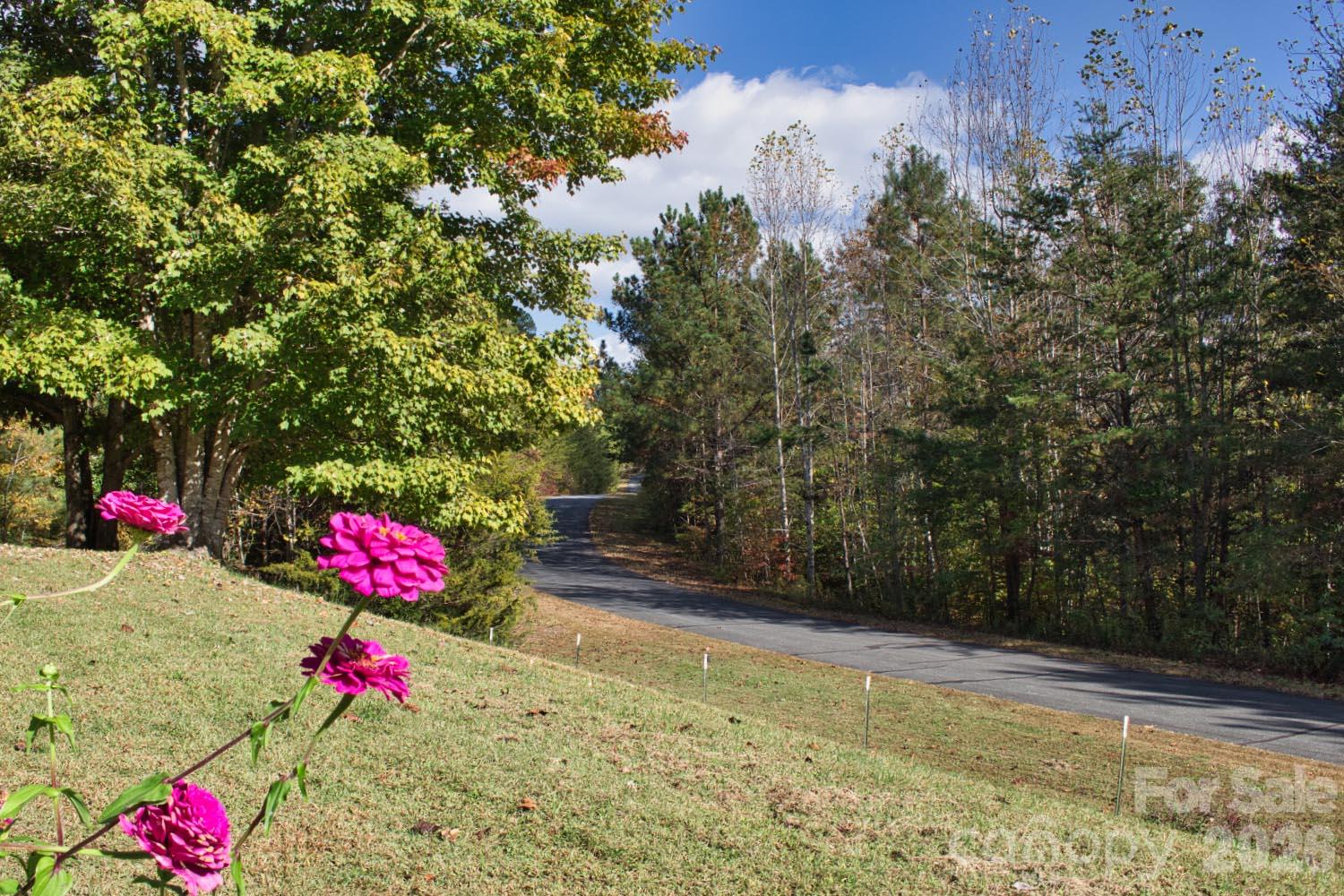 586 Willowby Run