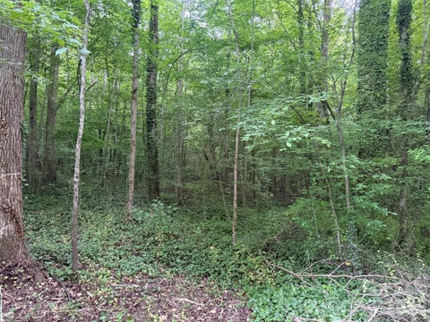 Photo of 00 Winterhaven Road Road #4, Taylorsville, NC 28681 (MLS # 4435344)