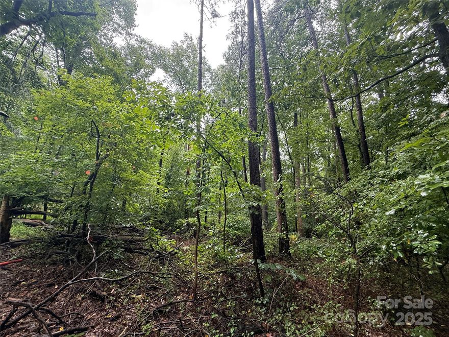 Future development lot.  Close proximity to new river district, airport and downtown Charlotte.