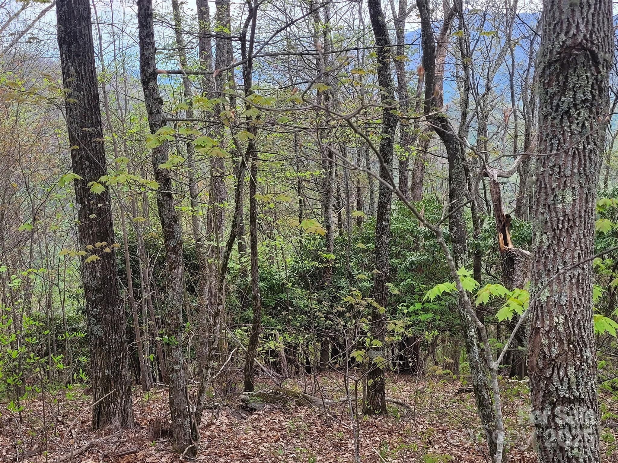 00 Logging Trail