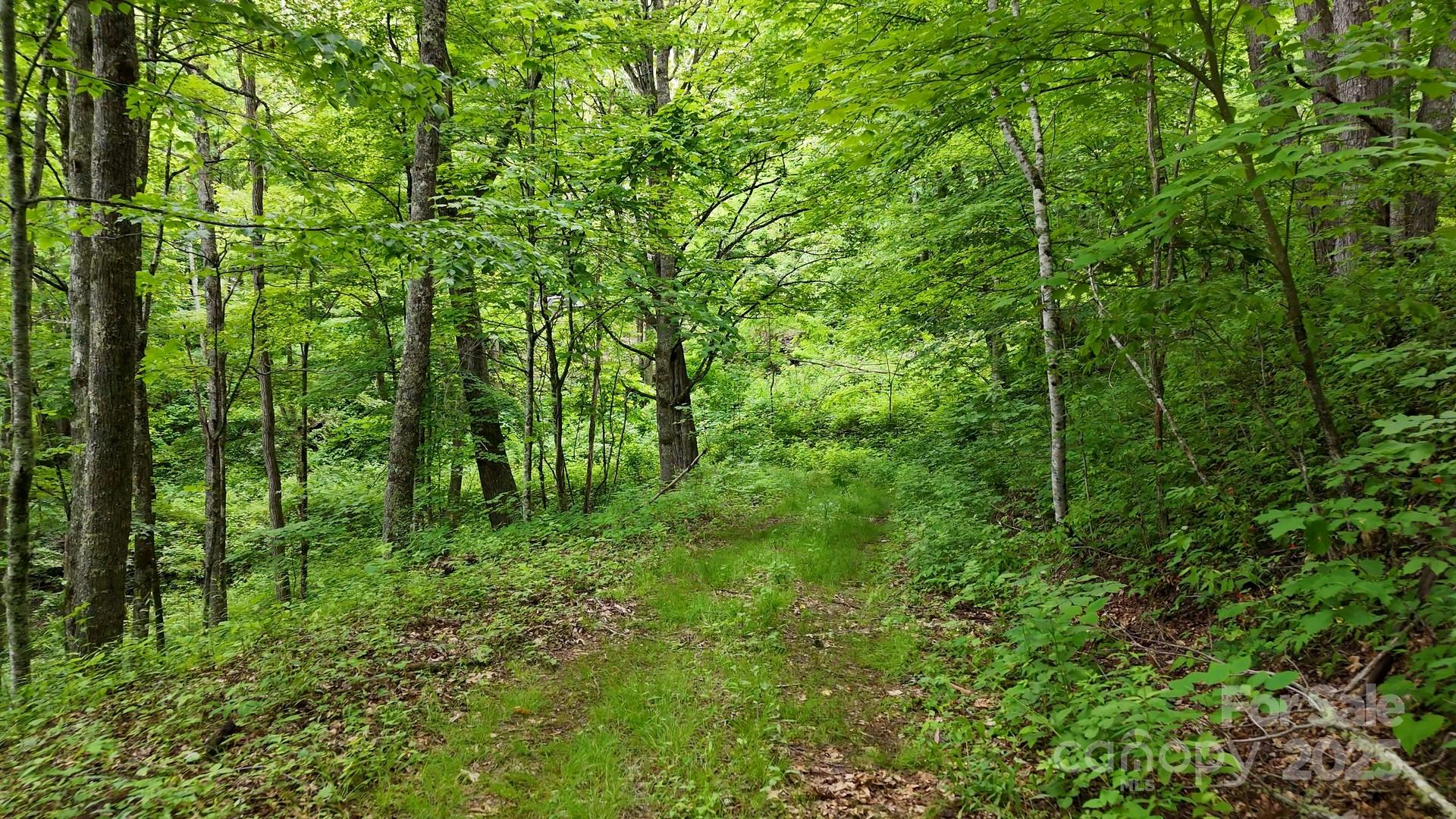 00 Logging Trail
