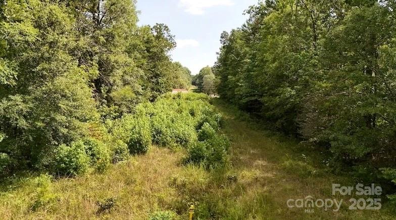 00 Blue Branch Road Tract B