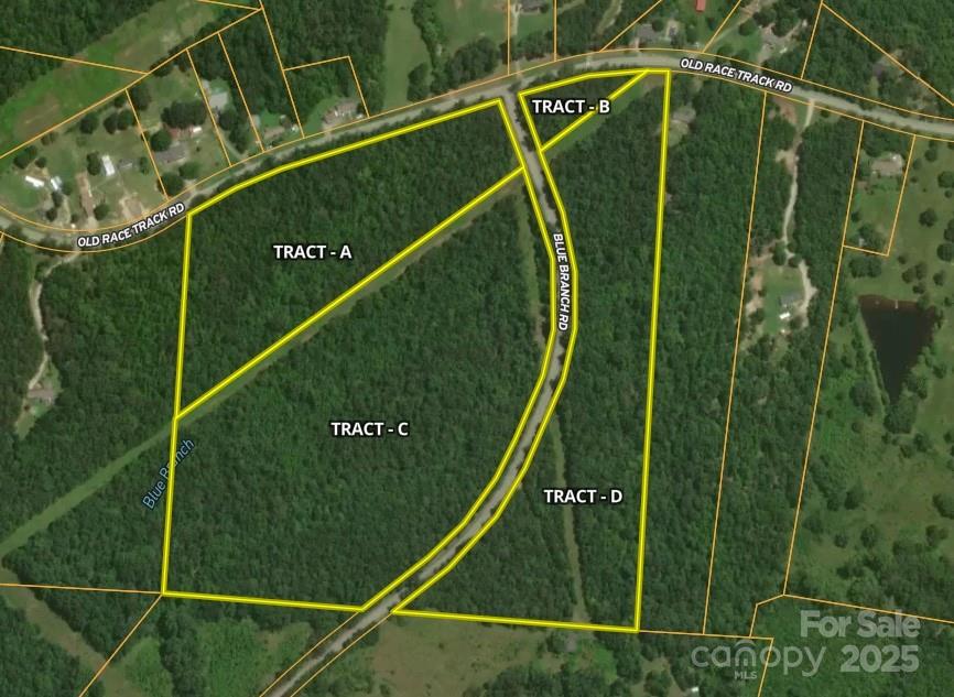 00 Blue Branch Road Tract B