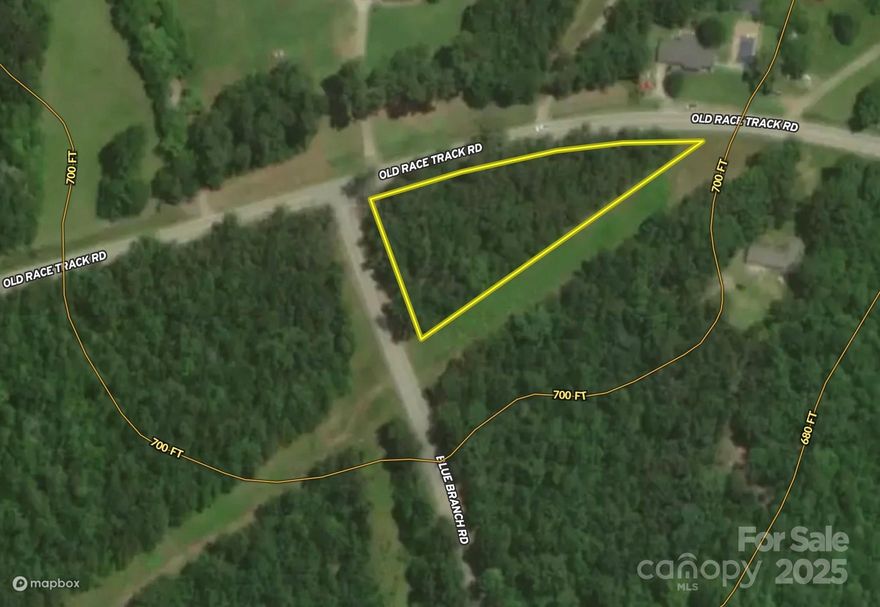 A high-visibility corner at the intersection of Old Race Track Road and Blue Branch Road, Tract B is ideal for a small commercial site, residential build, or utility space for adjacent tracts. A unique footprint with excellent access and nearby utilities.