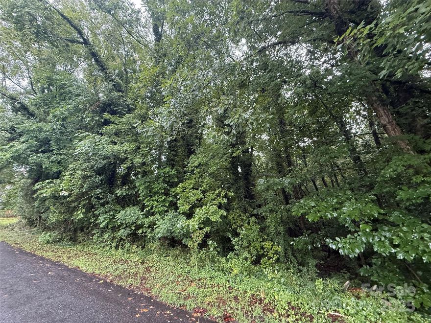 Future development tract and lots.  Close proximity to new river district, airport and downtown Charlotte.