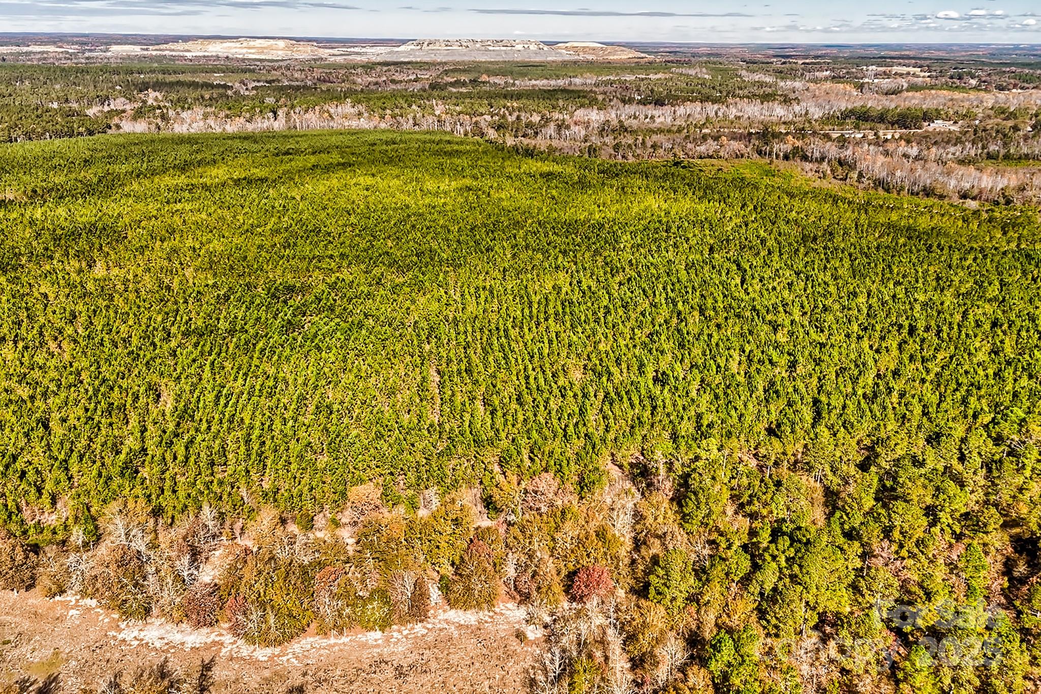 931 Charlie Johnson Road