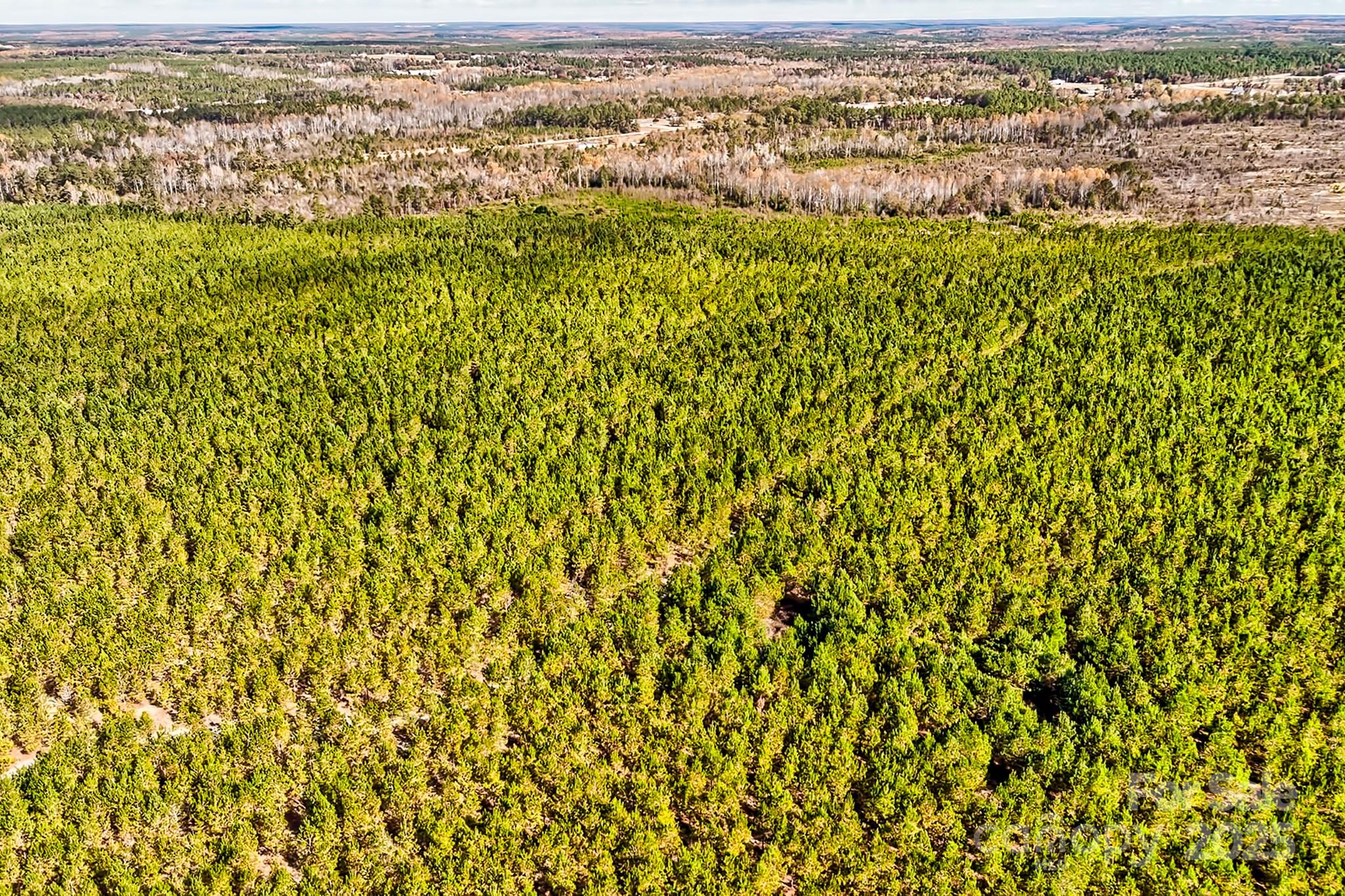 931 Charlie Johnson Road