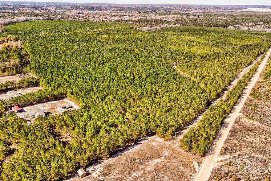 Welcome to 931 Charlie Johnson Road in Kershaw, South Carolina — a stunning 182-acre property offering endless potential! With over 2,000 feet of road frontage, this expansive tract provides an incredible opportunity for future development, subdivision, or your own private retreat.Surrounded by beautiful countryside, this land is perfect for new construction, recreation, hunting, or simply exploring the great outdoors. Whether you’re envisioning a family homestead, weekend getaway, or investment opportunity, this property has the space and setting to bring your vision to life. Enjoy peaceful country living just 5 minutes from the charming town of Kershaw — close enough for convenience, yet far enough to enjoy the quiet and privacy of rural South Carolina. Don’t miss this rare opportunity to own 182 acres of beautiful land! Per Kershaw County, land may be subdivided. Buyer to verify plan with county.Seller is willing to subdivide in half. Buyer would be responsible for the costs of dividing the property.