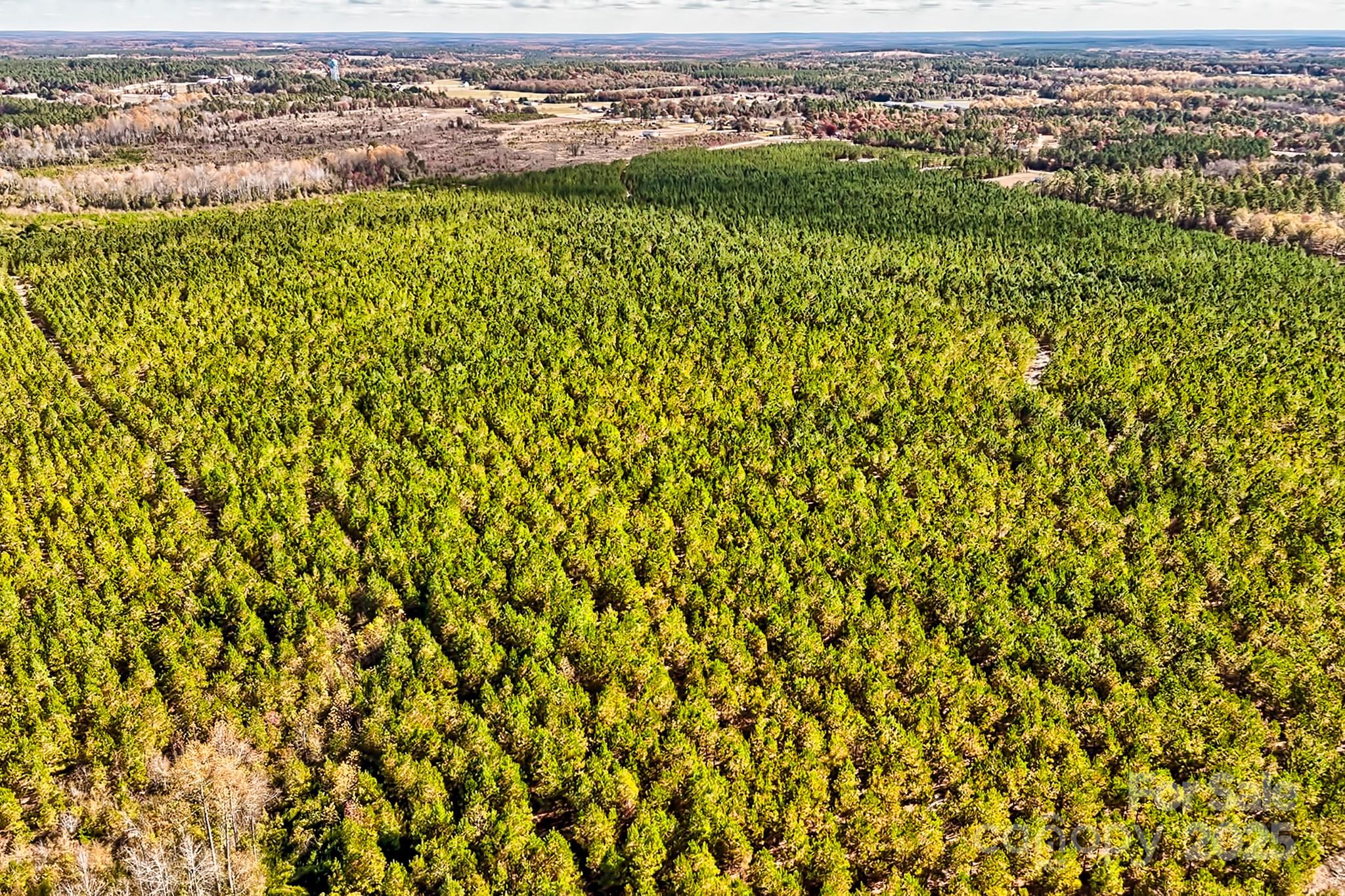 931 Charlie Johnson Road