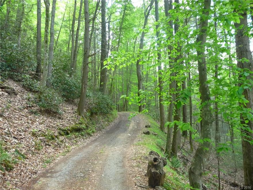 EASY ACCESS ON FOREST SERVICE ROAD. JOINS NATIONAL FOREST. MATURE TIMBER, WILDLIFE, EXCELLENT HUNTING PROPERTY.