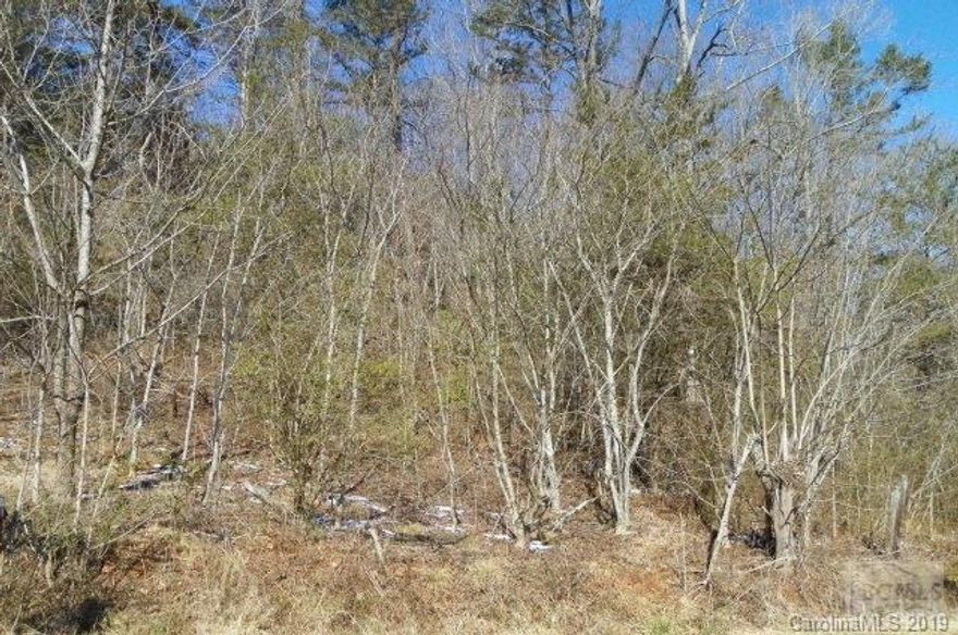 Eleven wooded acres+/- with creek and 1,958' road frontage. Build your dream home out in the country with a front porch to enjoy the wildlife!
