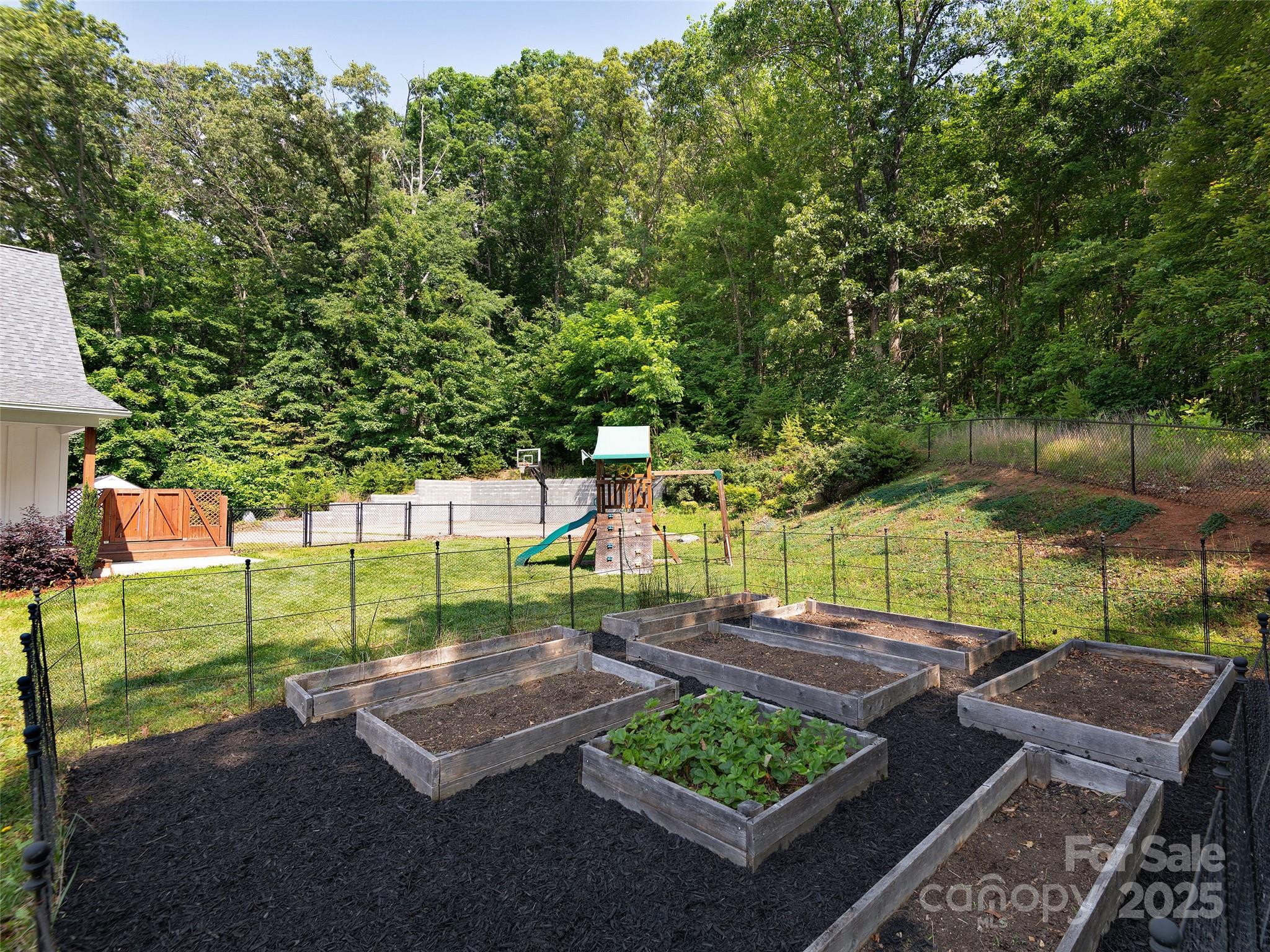 31 Rory Phillips View