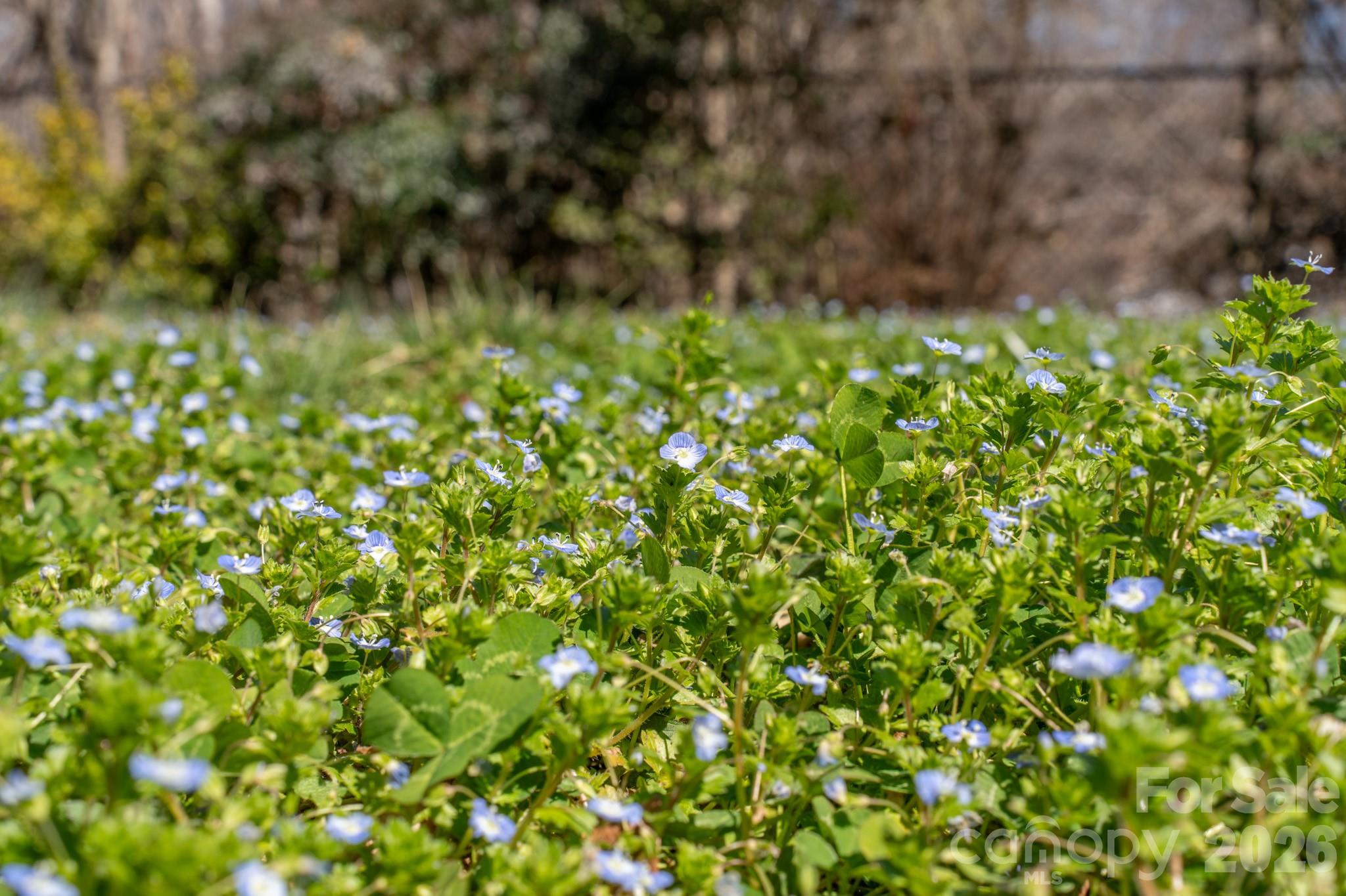 Hillcrest - Residential