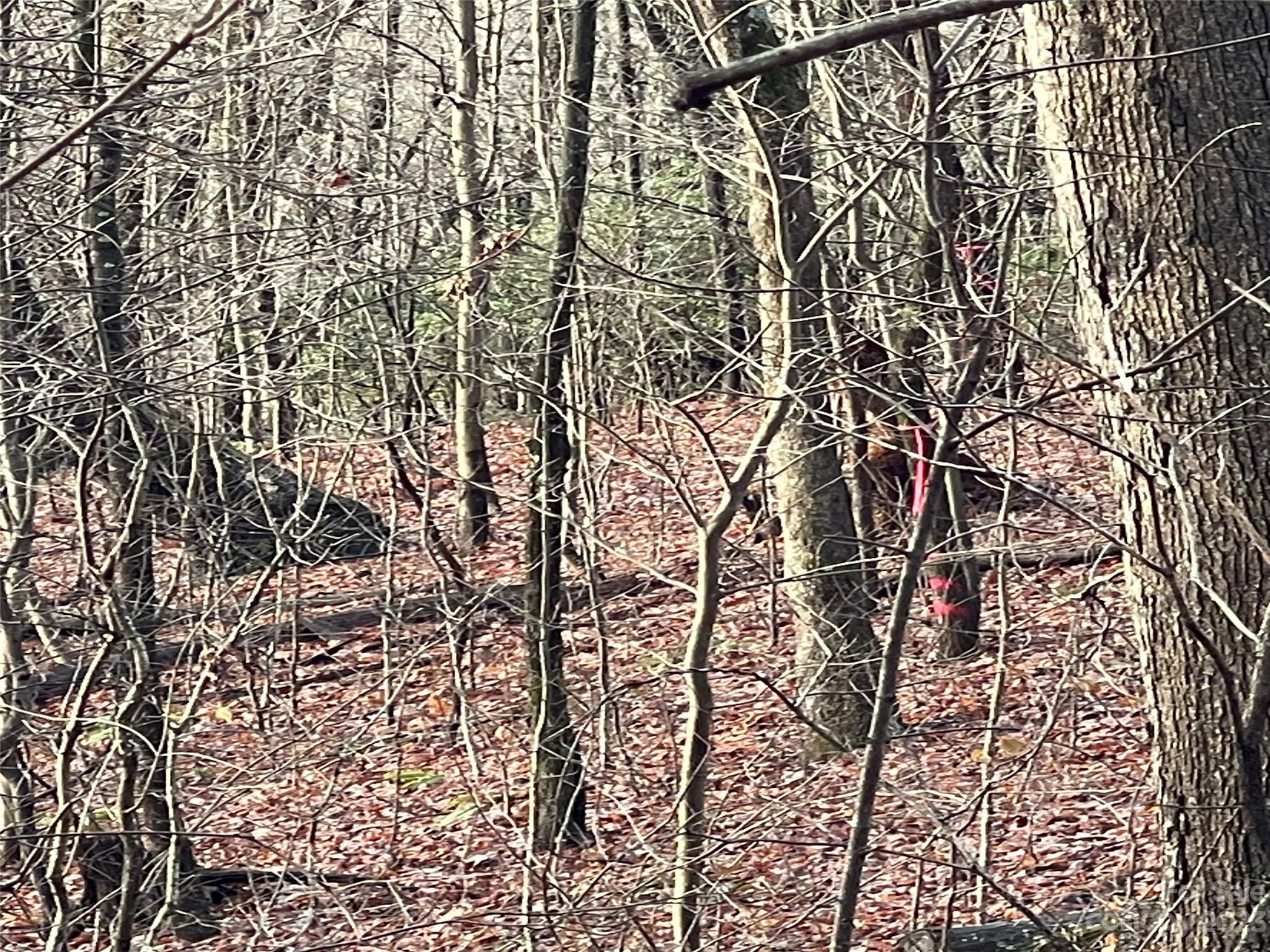 Hickory Acres - Land