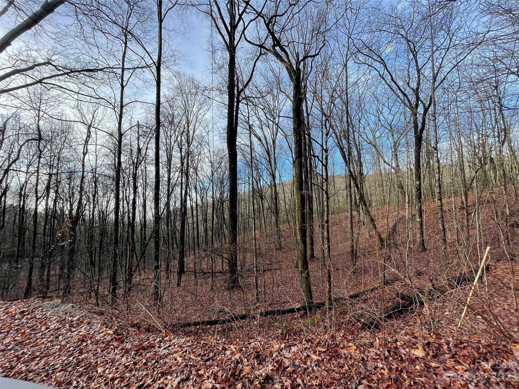 Hickory Acres - Land