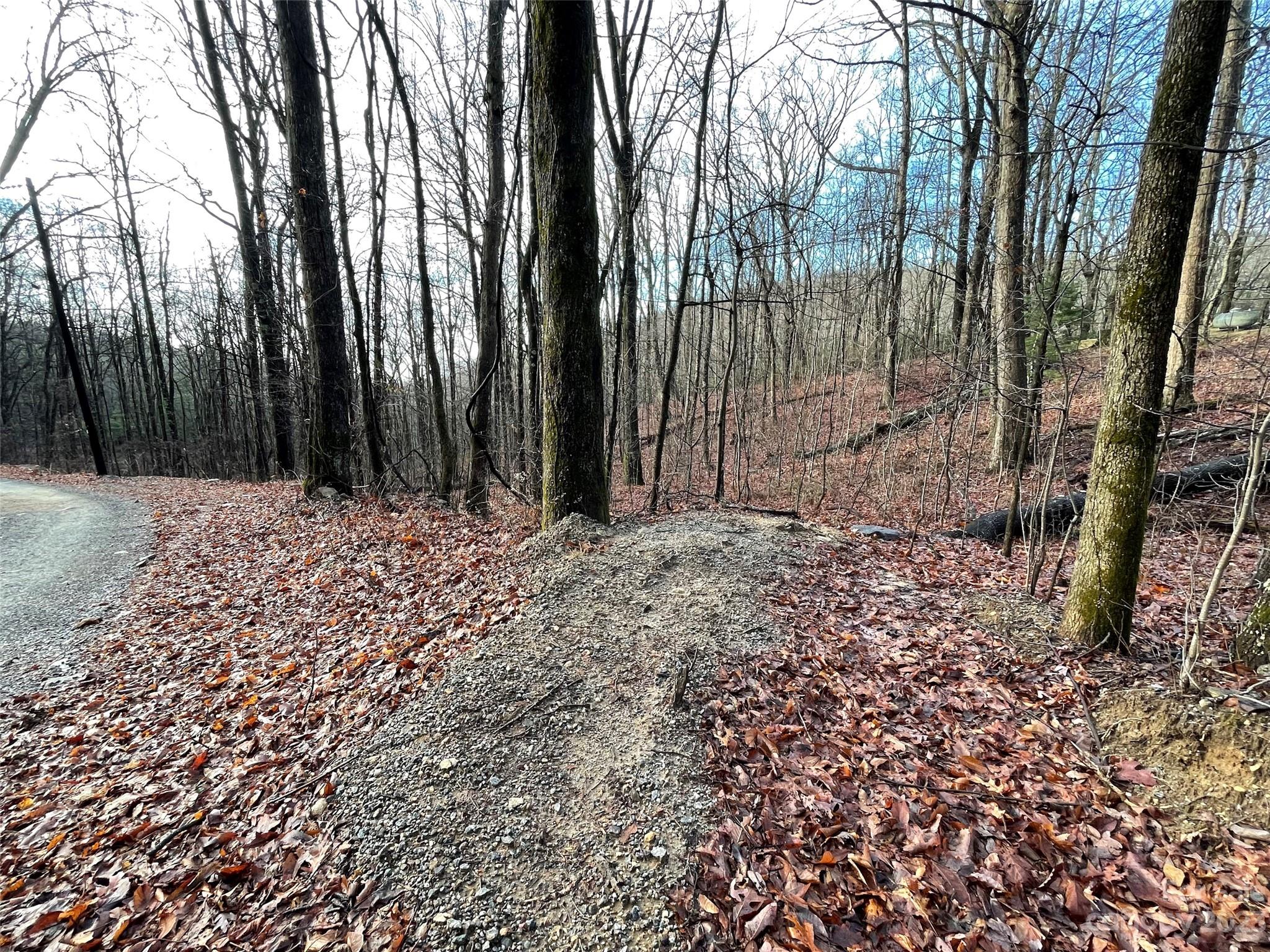 Hickory Acres - Land