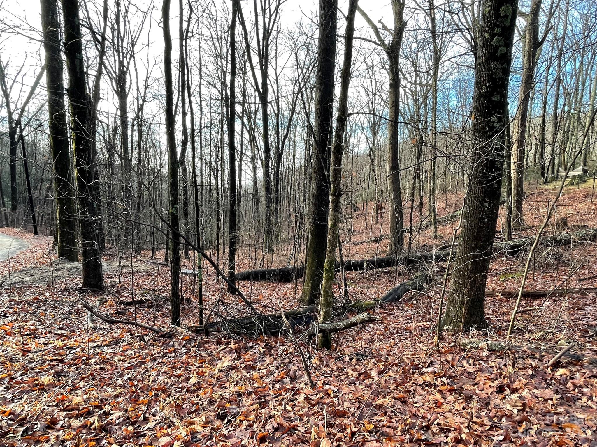 Hickory Acres - Land