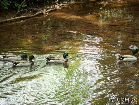 Statonwoods - Residential