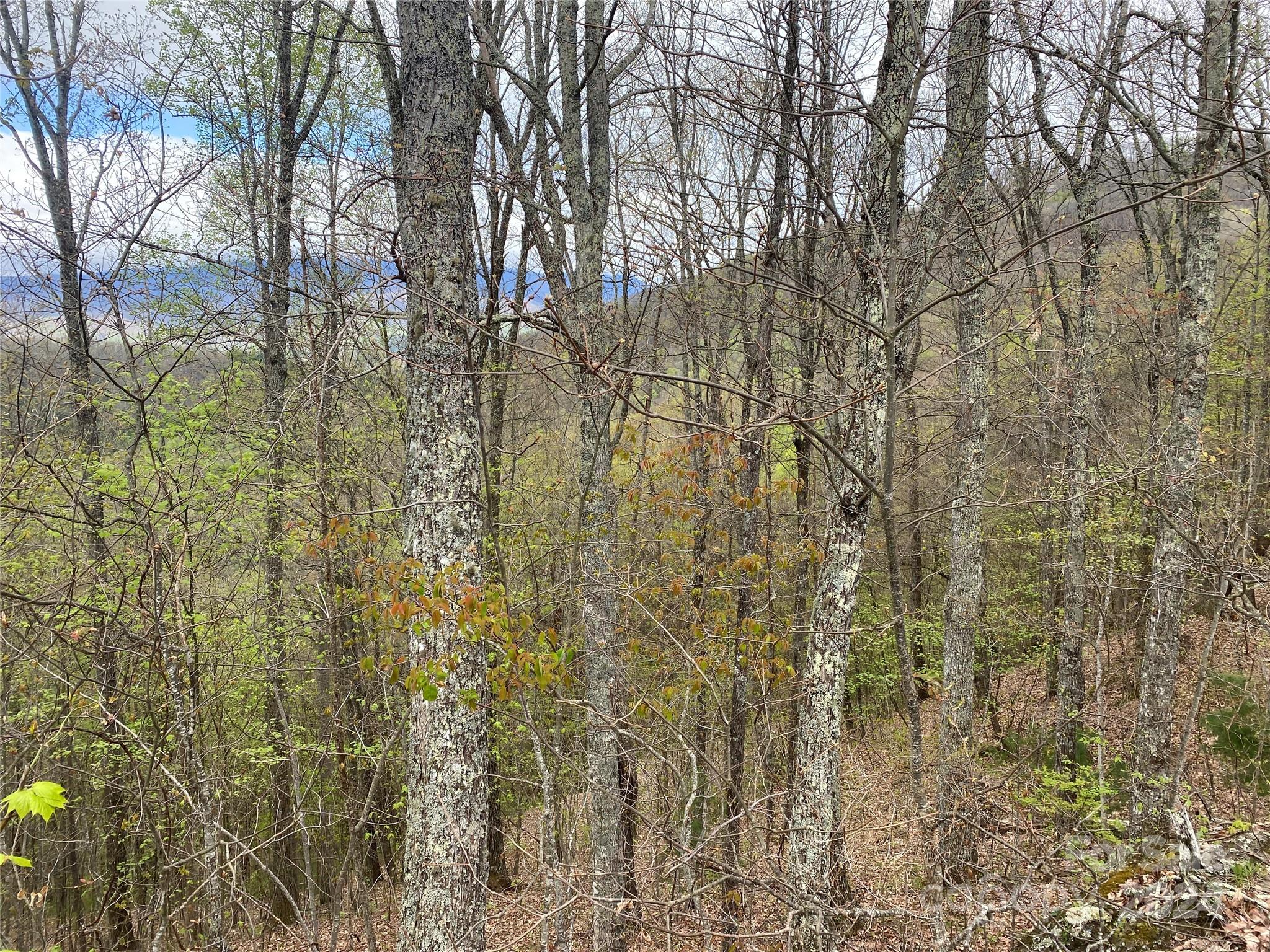 Lot 33 Heritage Ridge Road
