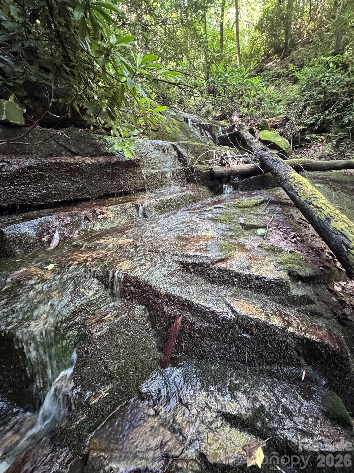 000 Chestnut Oak Lane