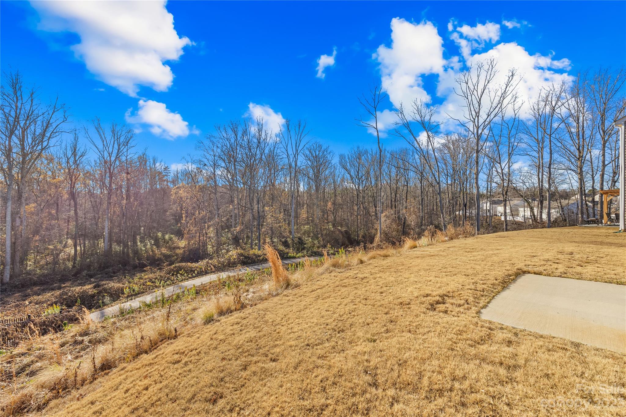 Spencer Mountain Village - Residential