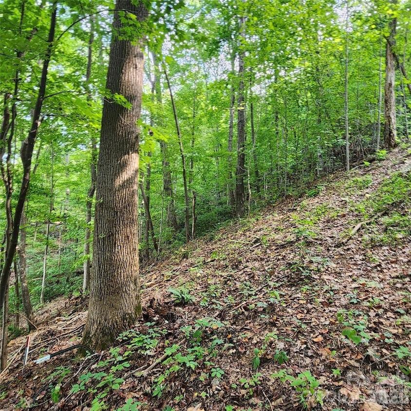 0 Switchback Road