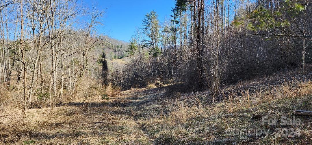 Ridgewood Acres - Land