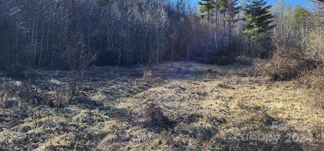 Ridgewood Acres - Land