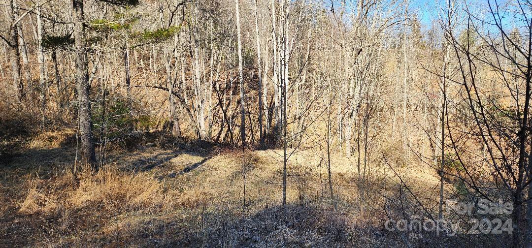 Ridgewood Acres - Land