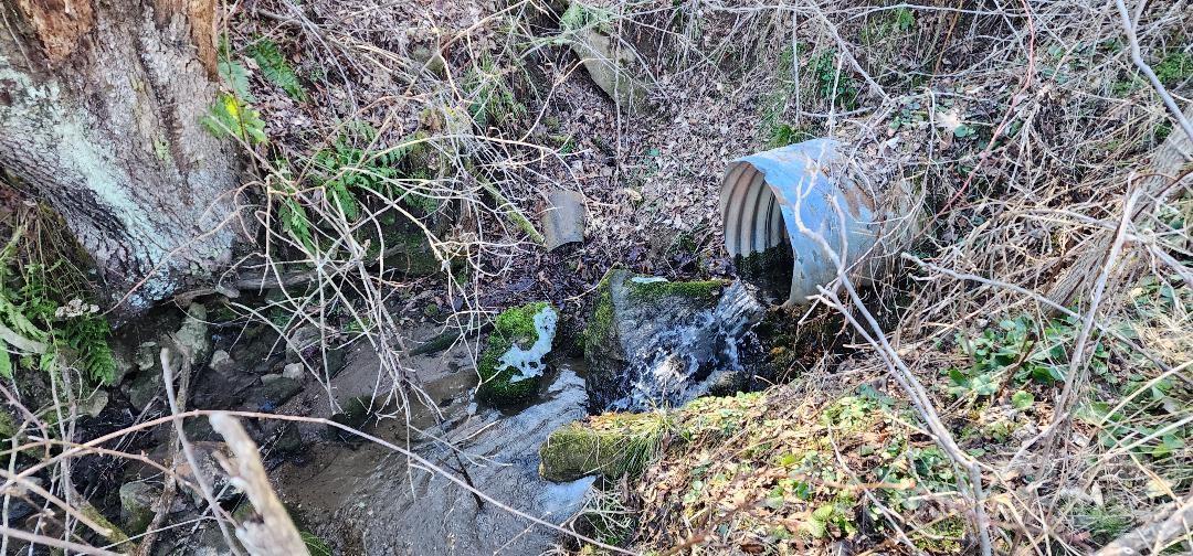 Ridgewood Acres - Land