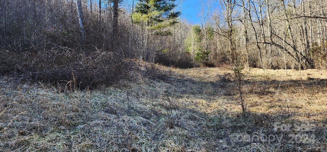 Ridgewood Acres - Land