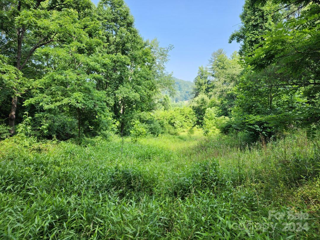 Ridgewood Acres - Land