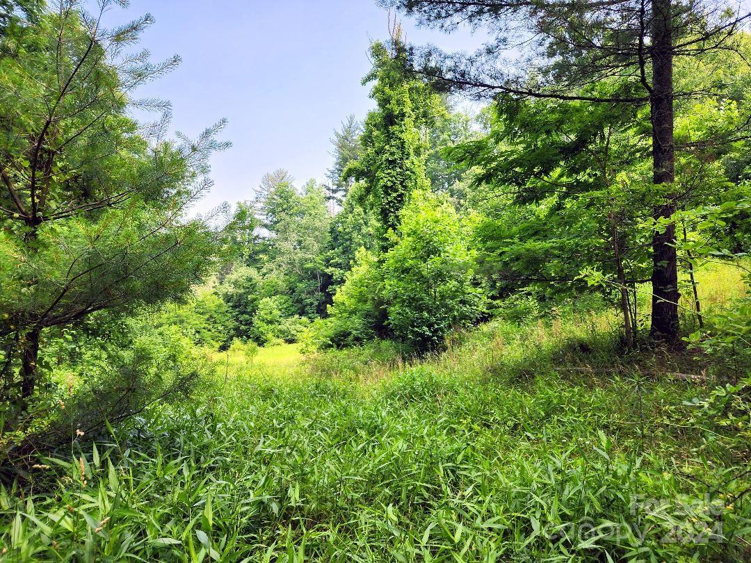 Ridgewood Acres - Land