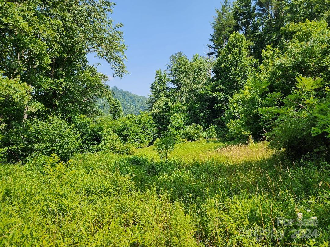 Ridgewood Acres - Land