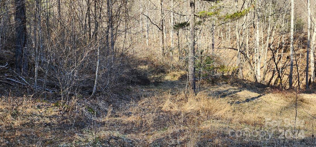 Ridgewood Acres - Land