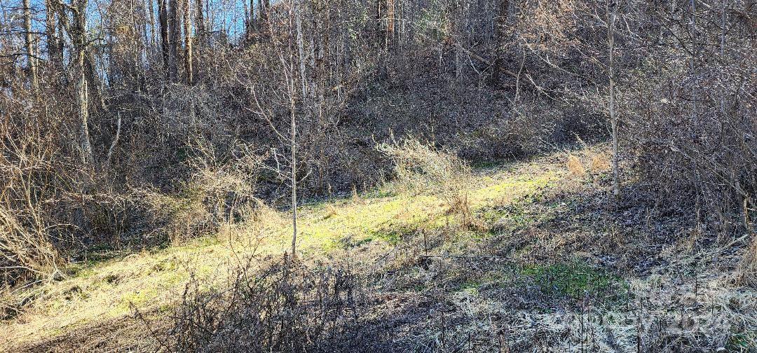 Ridgewood Acres - Land