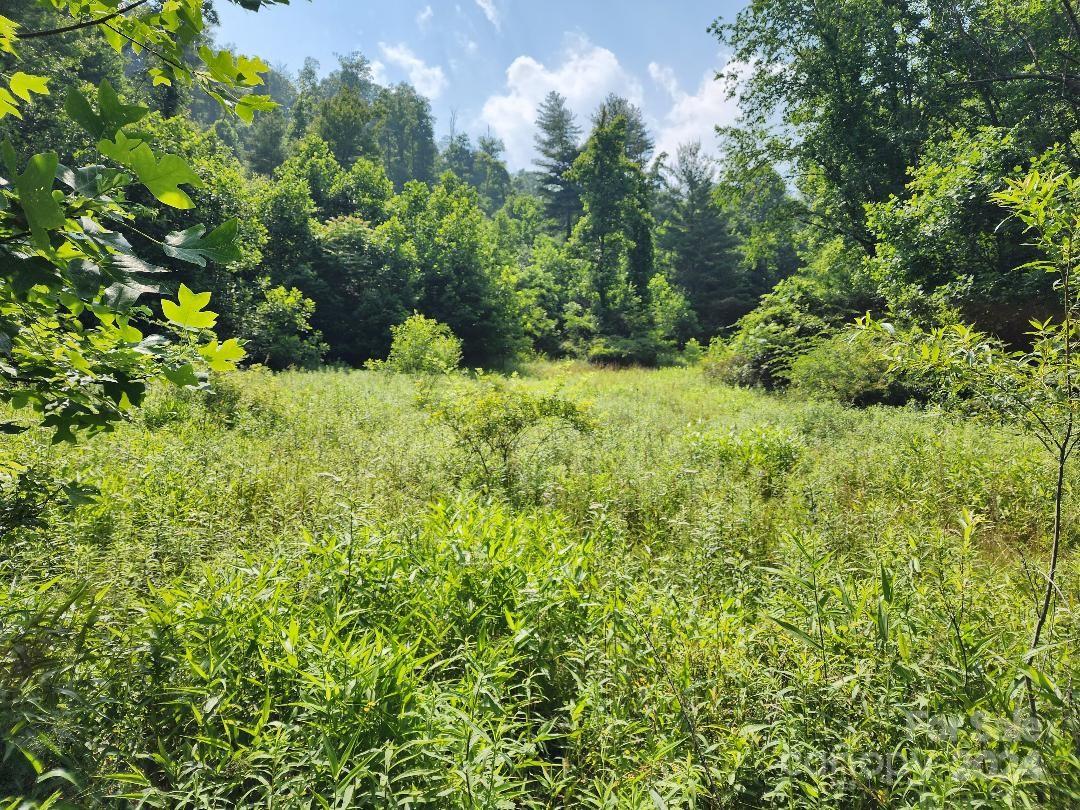 Ridgewood Acres - Land