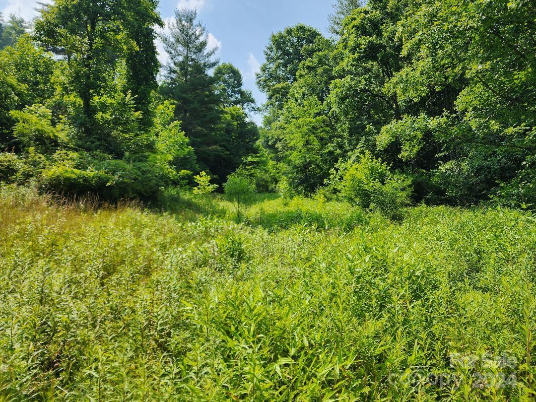 Ridgewood Acres - Land