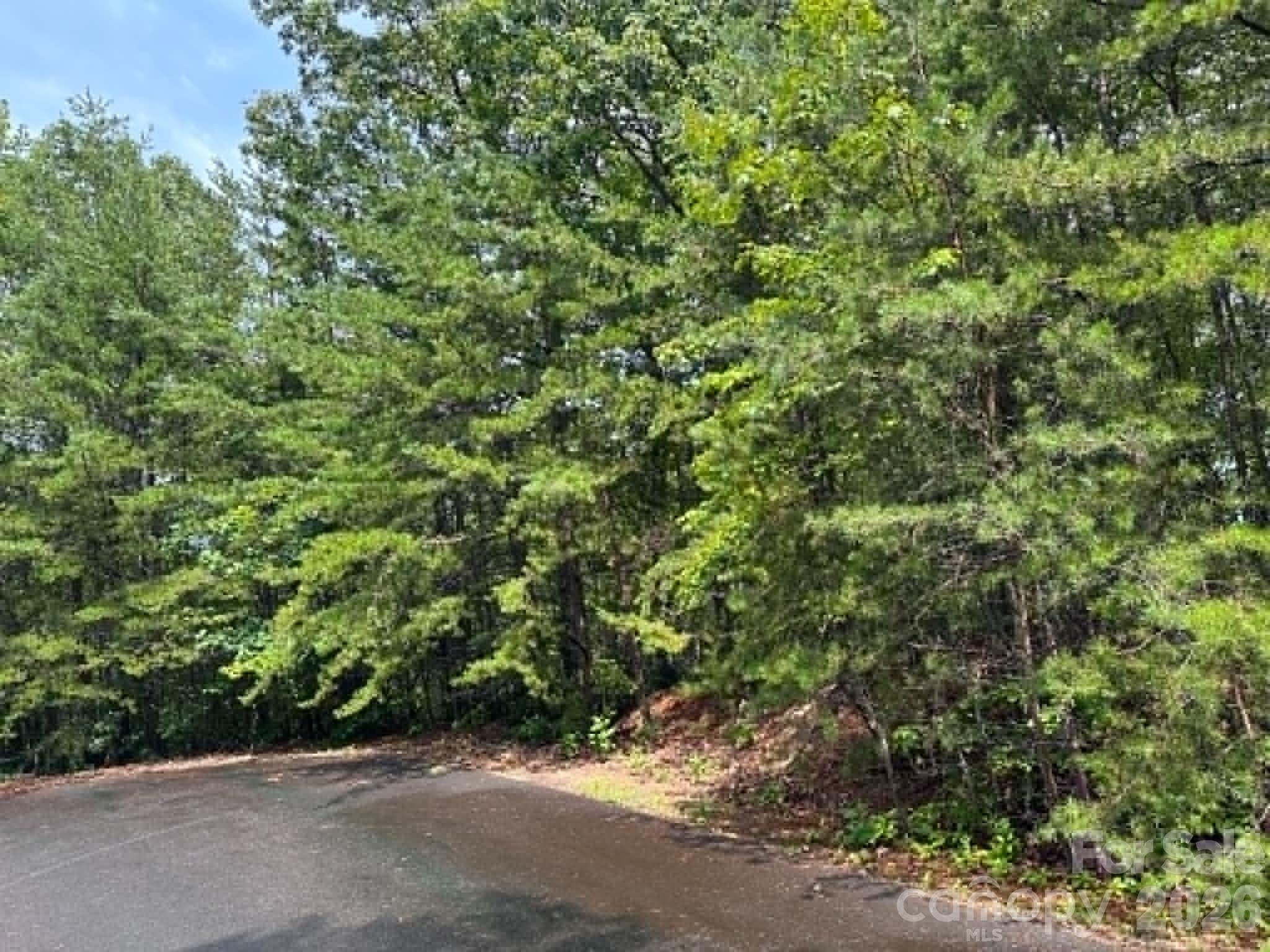 TBD Fire Tower Road