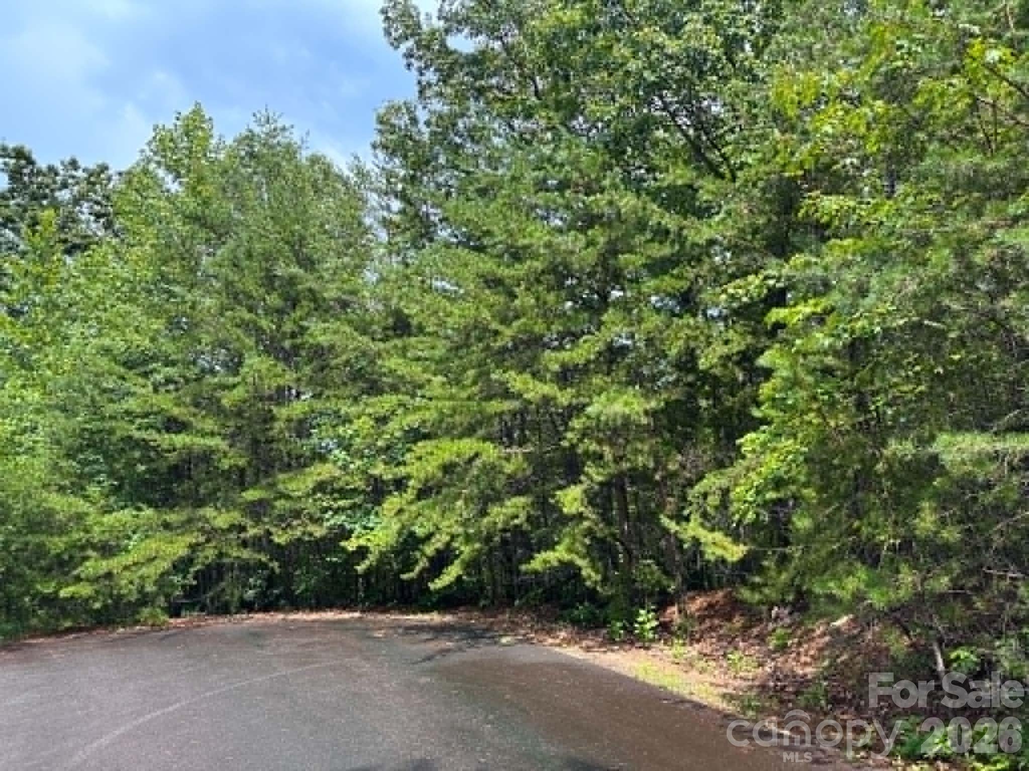 TBD Fire Tower Road